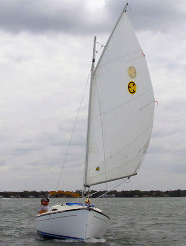 Veleiro clássico - SUNDAY CAT - Com-Pac Yachts - 1 cabine / catboat