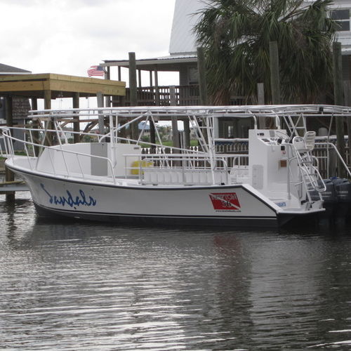 Barco profissional barco com fundo de vidro - Newton 36' - Newton Boats - com motor de popa / de fibra de vidro