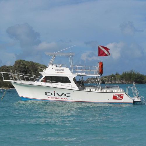 Lancha Express Cruiser com motor de centro - 42'  - Newton Boats - bimotor / com flybridge / de mergulho