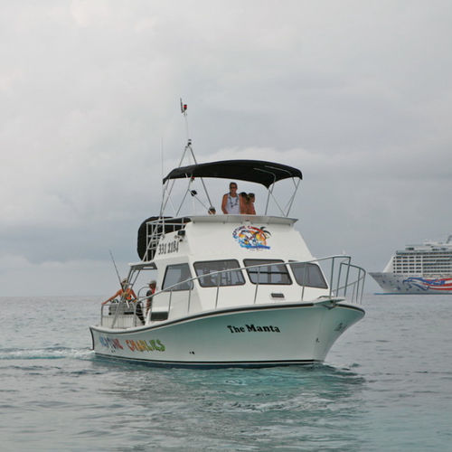 Barco profissional barco de passageiros - Newton 36' - Newton Boats - barco auxiliar para mergulho / com motor de centro / de fibra de vidro