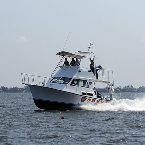 Barco profissional barco de busca e salvamento - 36' - Newton Boats - com motor de centro