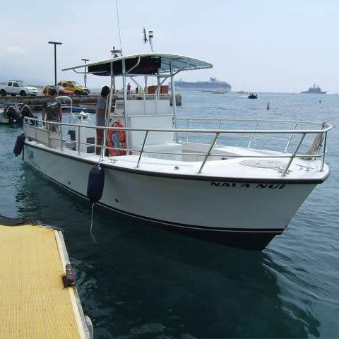 Lancha de console central com motor de centro - Newton 31' - Newton Boats - a diesel / com casco de planeio / com hard-top