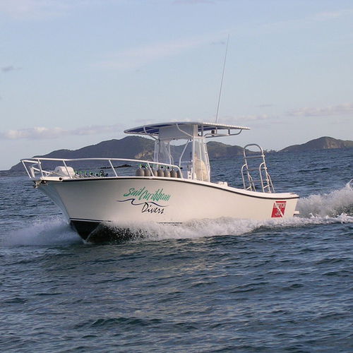 Lancha de console central com motor de centro - Newton 26' - Newton Boats - a diesel / com hard-top / de mergulho