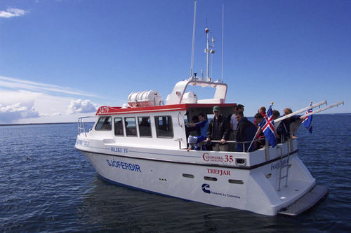 Barco profissional barco de passageiros - CLEOPATRA 35 - Trefjar - com motor de centro