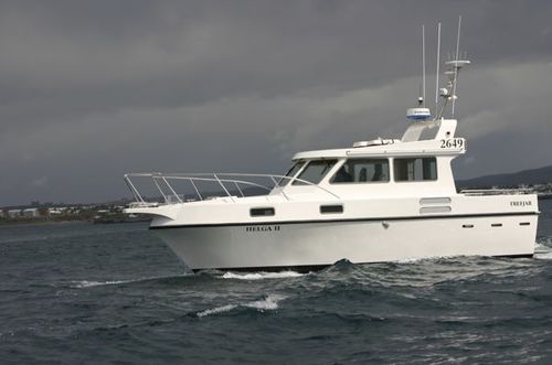 Lancha Express Cruiser com motor de centro - Trefjar - a diesel / com casa do leme / de pesca esportiva