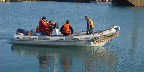 Barco profissional barco auxiliar para mergulho - 730 - Master - com motor de popa / barco inflável semirrígido