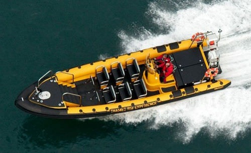 Barco profissional barco de passageiros - RIBCRAFT 12.0  - RIBCRAFT - com motor de centro / barco inflável semirrígido