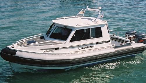 Barco profissional barco de serviço - T249XL CABIN - Titan - com motor de popa / barco inflável semirrígido