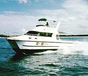 Lancha Express Cruiser catamarã - 3500 - Noosa Cat Australia - com motor de popa / bimotor / com flybridge