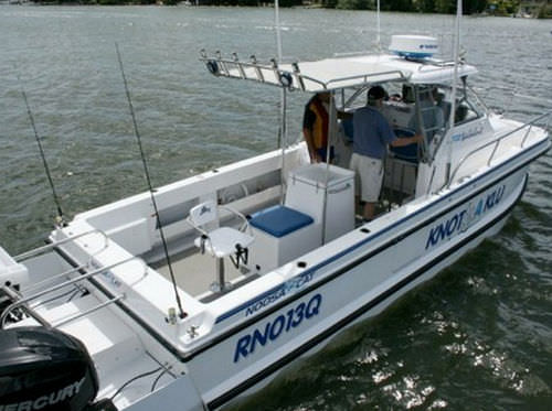 Lancha walkaround catamarã - 3000 - Noosa Cat Australia - com motor de popa