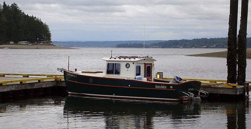 Lancha Cabin Cruiser com motor de popa - Surf Scoter 22 - Devlin - a diesel / com casco de semideslocamento / com hard-top