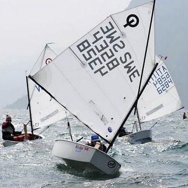 Vela mestra - SCHOOL - Olimpic Sails - para barco de vela ligeira / Optimist
