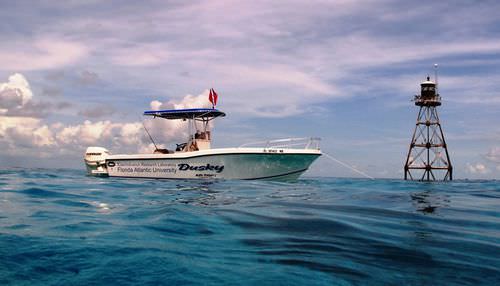 Lancha de console central com motor de popa - 252  - Dusky Marine - de pesca esportiva / com T-Top