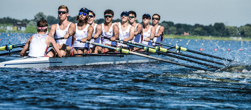 Barco de remo de regata - F41 - Filippi - oito de palamenta simples / com timoneiro