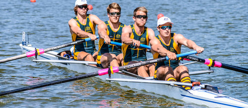 Barco de remo de regata - F31 - Filippi - quatro de palamenta simples