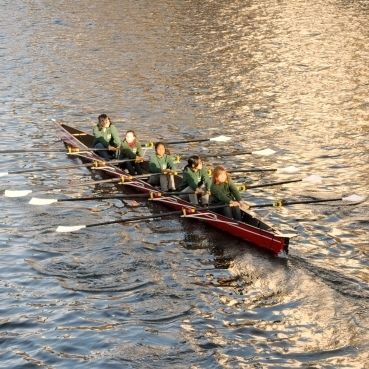 Barco de remo de regata - C5x- Karlisch - Baumgarten Bootsbau - de turismo / de lazer / four skiff