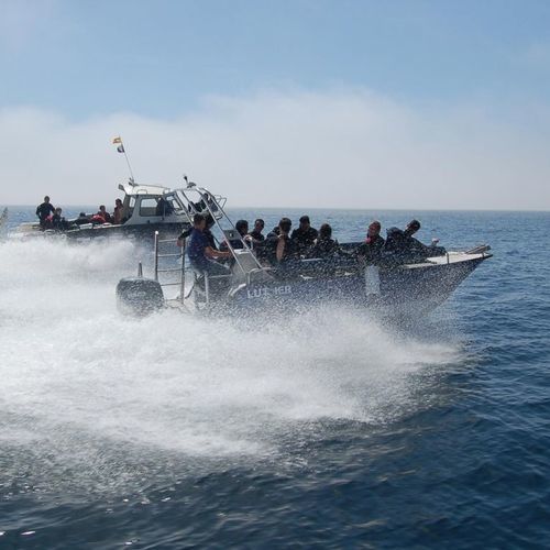 Barco profissional barco auxiliar para mergulho - M650 - MOGGARO ALUMINIUM YACHTS - com motor de popa / em alumínio