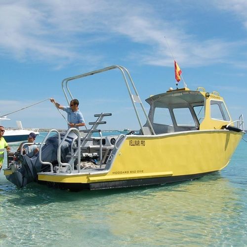 Barco profissional barco auxiliar para mergulho - M850 - MOGGARO ALUMINIUM YACHTS - com motor de centro / em alumínio