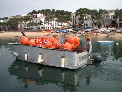Barco profissional barco de trabalho - 750 TRABAJO - MOGGARO ALUMINIUM YACHTS - com motor de popa / em alumínio