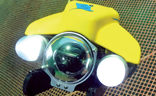 ROV de intervenção - Pro 4 IP65 BASE - VideoRay - para inspeção de tanques-rede / para aquicultura
