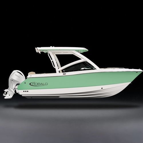 Lancha de console central com motor de popa - R237 - Robalo - de gasolina / com console dupla / bowrider