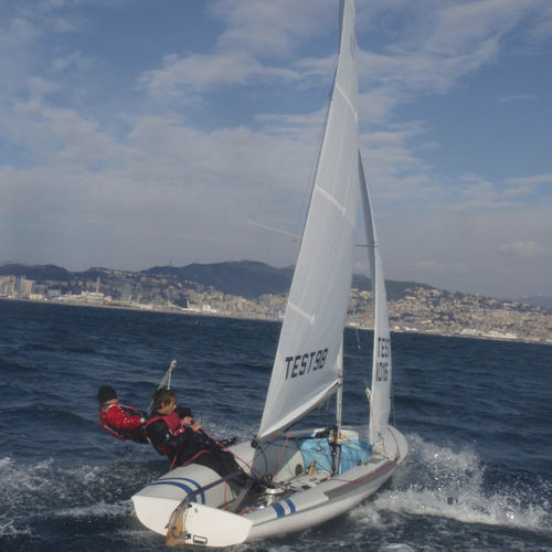Bujarrona - Ullman Sails - para barco de vela ligeira / cross-cut / 470