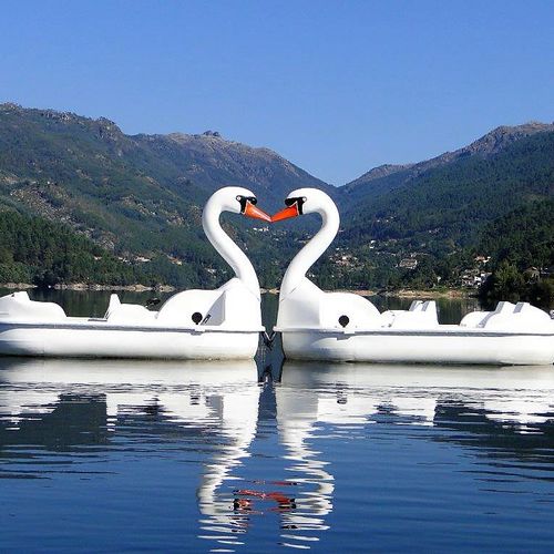 Pedalinho de 4 lugares - GRAN CISNE - AVENTURAS AQUATICAS - LA NORIA - da linha comercial / para empresas de aluguer / sem manutenção