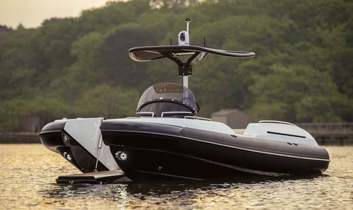Barco inflável com motor de centro - DT BEACHLANDER - Pascoe International - de casco rígido (RIB) / com console central / open