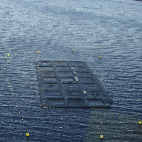 Píer flutuante - Fish farming - Cubisystem - de atracação / para aquicultura / em material plástico