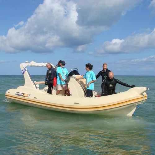 Barco inflável com motor de popa - 625 CL - ESPADON CONCEPT - bimotor / semirrígido / com console central