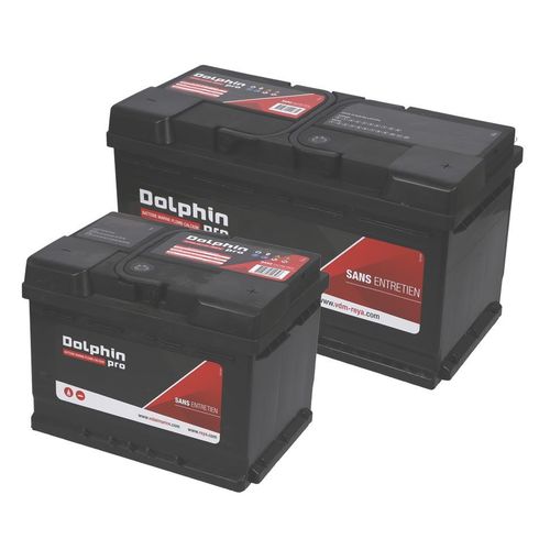 Bateria náutica - PRO SERIES - DOLPHIN CHARGER - 12 V / de chumbo / de chumbo-ácido