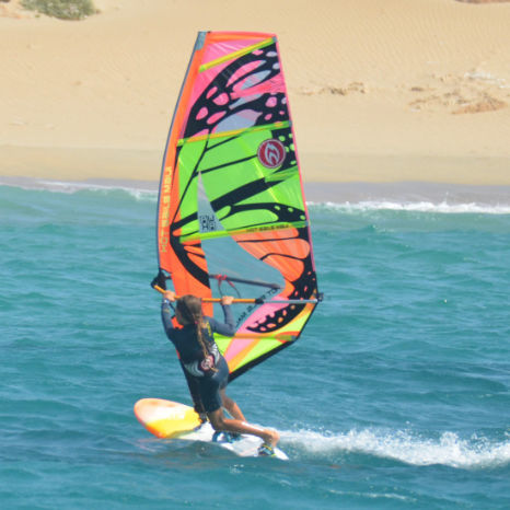 Vela para prancha de Wave - MICROFREAK - HOT SAILS MAUI - RDM / 4 talas