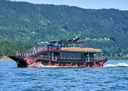 Barco profissional barco de passeio - Sneak Peek - All American Marine - catamarã / com motor de centro / em alumínio