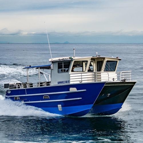 Barco profissional barco de passeio - 3513-CTC | PaxCat - Armstrong Marine - catamarã / com motor de popa / em alumínio