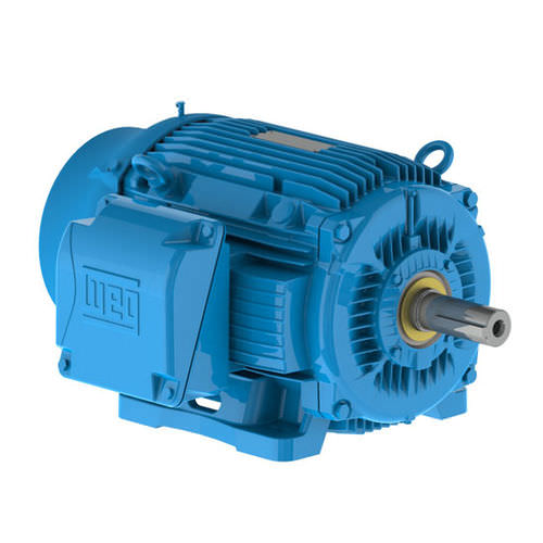 Motor de centro - W22 IEEE-841™ Petrochem Motors - NEMA Premium® Efficiency - Weg Electric Motors - elétrico / para barco profissional / para navio