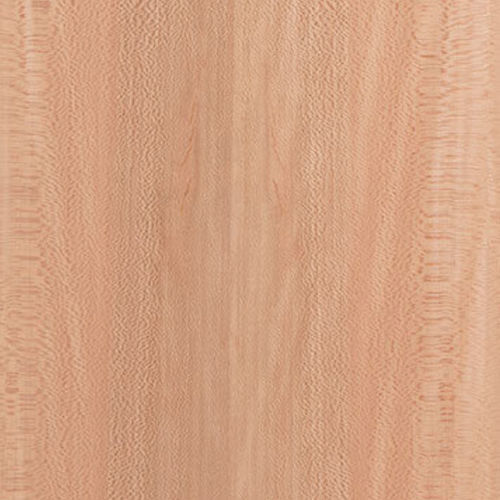 Painel para folheado - Sycamore - Kuiper Holland - Superyacht Interior Panels - em madeira