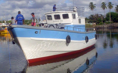 Barco profissional barco de pesca profissional - NMDF- 45 - Neil Marine (Pvt) Ltd - com motor de centro / de fibra de vidro
