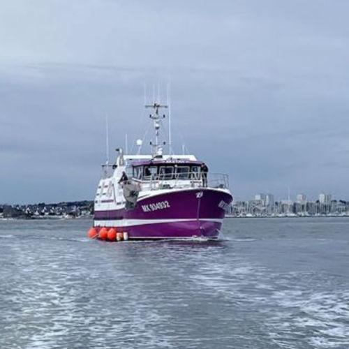 Barco profissional de arrasto - Gillnetter - Bernard Shipyard - com motor de centro / em PRFV