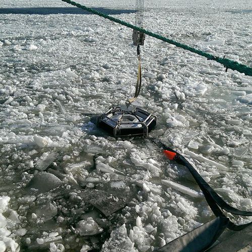 Skimmer de hidrocarbonetos com escovas múltiplas - Polar Bear - Desmi
