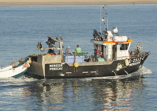 Barco profissional de cerco - 12 - Estaleiros Navais de Peniche - com motor de centro / em PRFV / semirrígido
