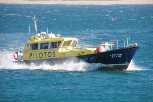 Barco profissional barco para transporte de pilotos - 12 - Estaleiros Navais de Peniche - com motor de centro / em PRFV