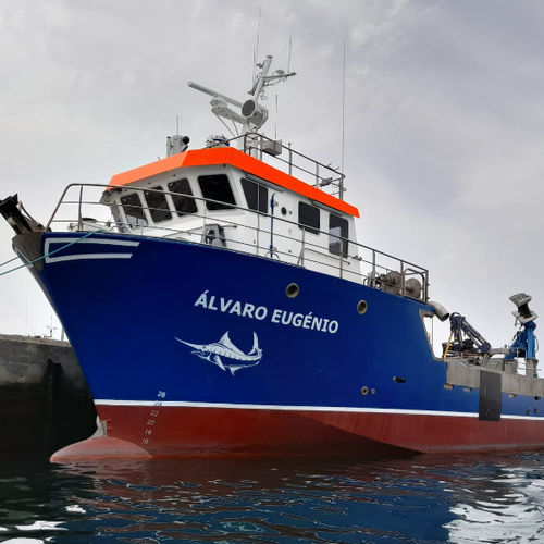 Barco profissional de cerco - Cercador - Estaleiros Navais de Peniche - em compósito