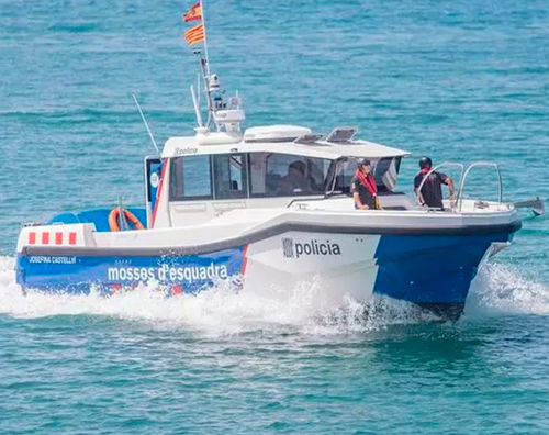 Barco profissional barco de busca e salvamento -  40 - QUER PROFESSIONAL BOATS - barco para estudos e pesquisa / com motor de centro / com motor de popa