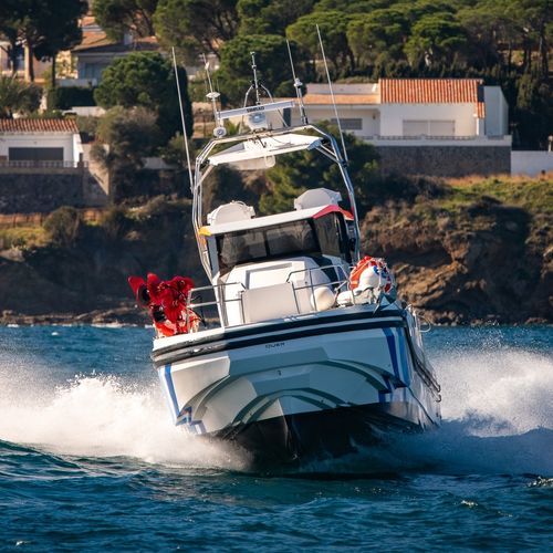 Barco profissional barco para estudos e pesquisa - Q80 Explorer - QUER PROFESSIONAL BOATS - com motor de centro / em compósito reforçado com fibra de vidro / em carbono