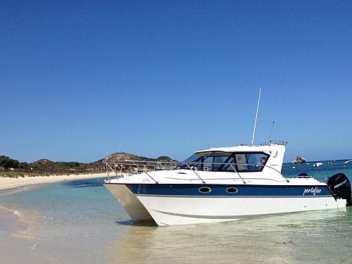 Lancha Express Cruiser catamarã - 32RS - ArrowCat Marine - com motor de popa / de pesca esportiva