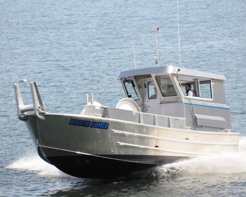 Barco profissional barco de pesca profissional - 30’ Bow Picker - Rozema Boats Works - com motor de centro / em alumínio