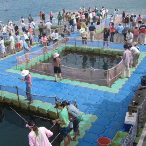 Píer flutuante - OTTO - modular / de atracação / para pesca