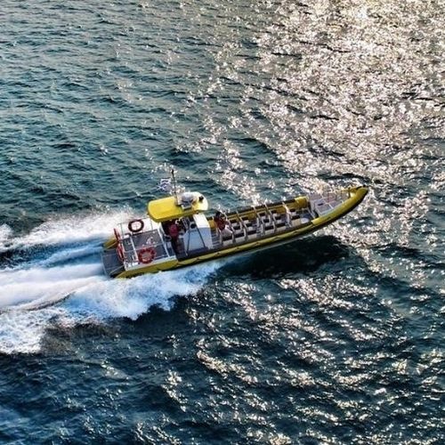 Barco profissional barco-patrulha - 12.5M - Tornado Boats - barco salva-vidas / barco de passeio / barco utilitário