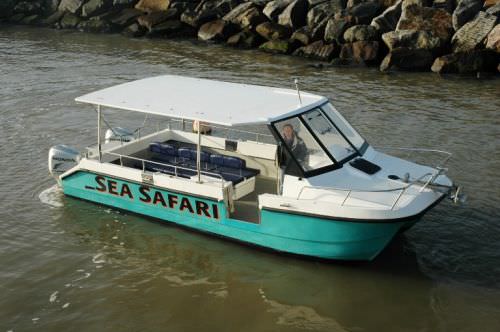 Barco profissional barco de passeio - Free Spirit - Cheetah Marine - catamarã / com motor de popa