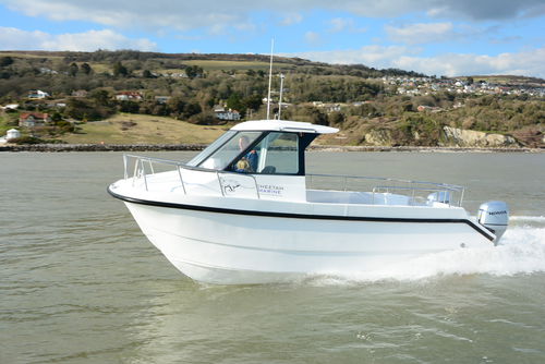 Barco de pesca-passeio catamarã - Cheetah Marine - com motor de popa / bimotor / com casa do leme